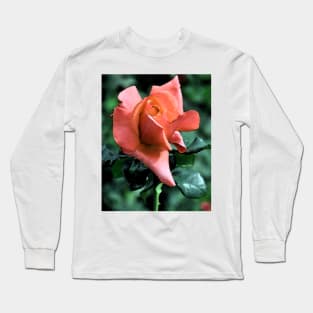 Orange Rose Bud Long Sleeve T-Shirt